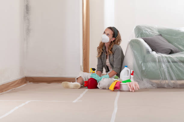 Reliable Commercial Mold Remediation contractor in Bellevue, IL by 24 Hour Mold Removal